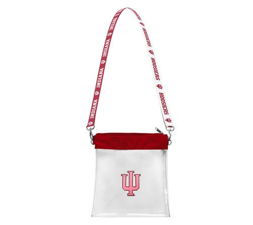 Littlearth NCAA 3D Logo Clear Satchelette — View 9