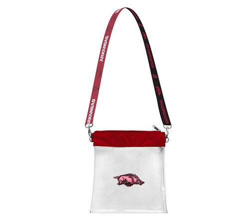 Littlearth NCAA 3D Logo Clear Satchelette — View 32
