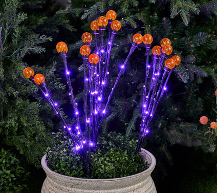 "As Is" Martha Stewart Set/3 Indoor/Outdoor Globe Light Branches