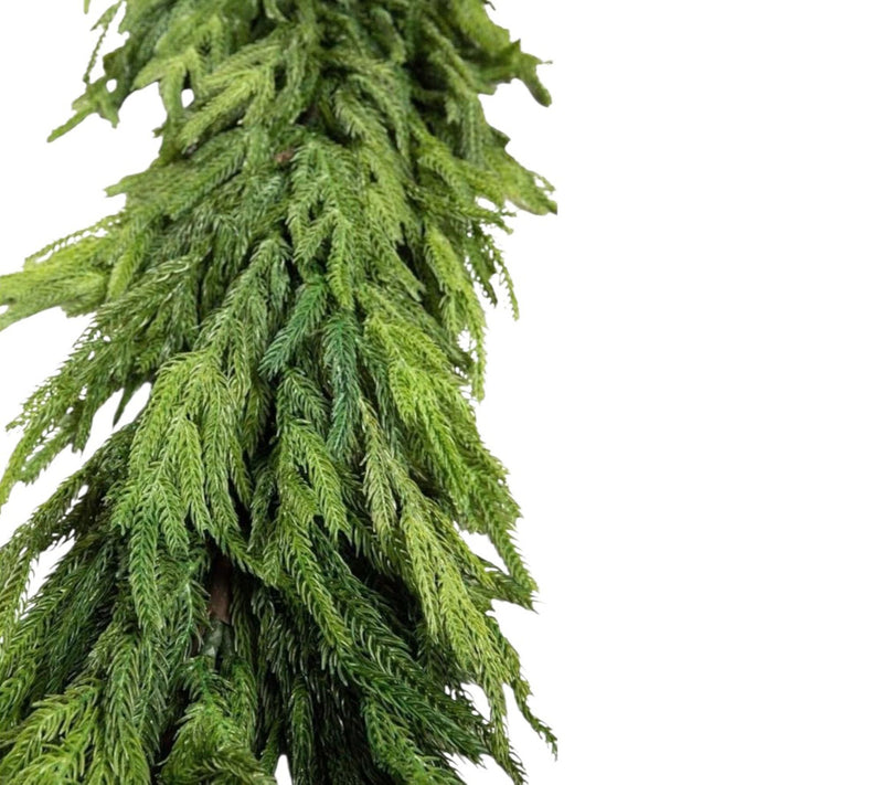 RC Home Decor 96" Norfolk Pine Garland — View 2