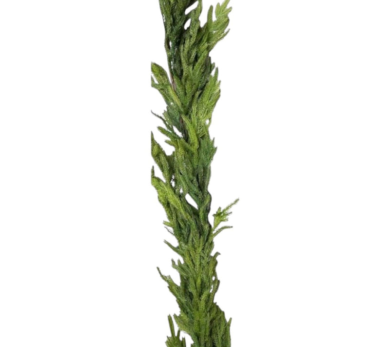 RC Home Decor 96" Slim Real Touch Norfolk PineGarland — Main view