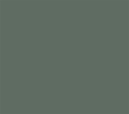 Cottage Farms Green Tea Camellia Shrub — View 6