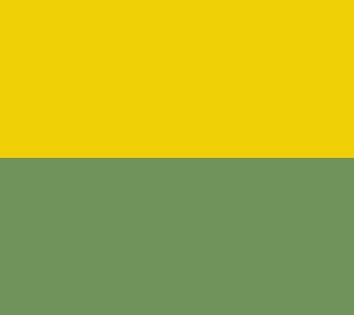 Cottage Farms Golden Euonymus Shrub — View 6