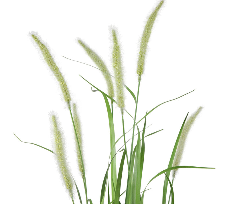 Northlight 36" Potted Green Artificial Onion Grass Plant — View 3