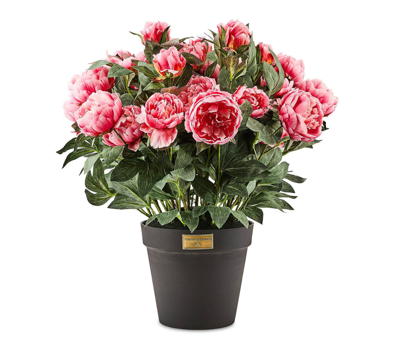 MacKenzie-Childs Peony Urn Filler — View 7
