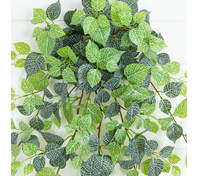 Nearly Natural 41-in UV Resistant Fittonia - Set of 3 — View 5