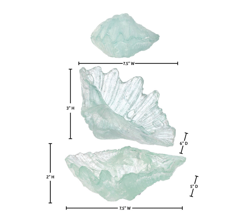 7.5" Clear Resin Open Shell Box of 2 By Valerie — View 4