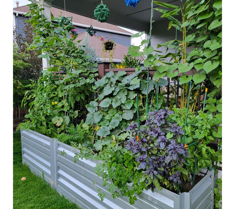 C-BITE Plant Support Clips and Garden Stake Connectors — View 4