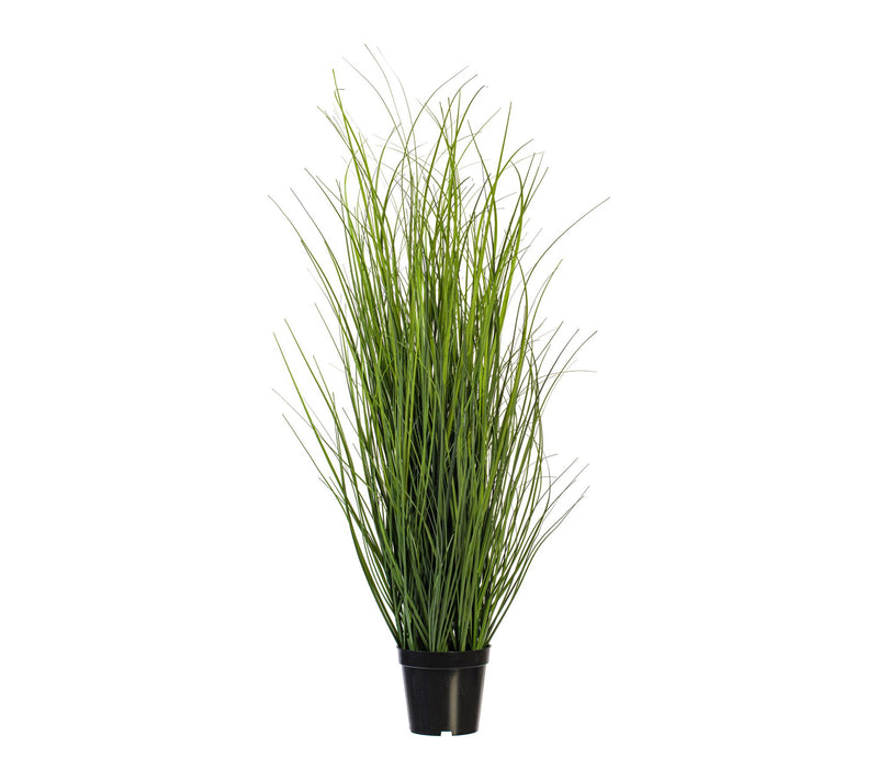 Vickerman 36" Green Tufted Hairgrass Potted UV — Main view