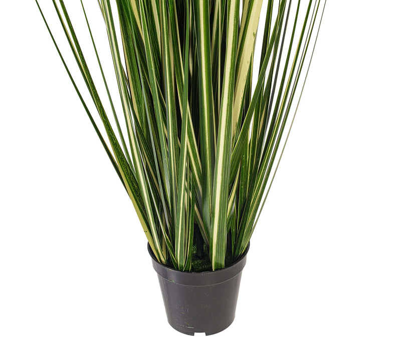 Vickerman 36" Green Evergold Grass Potted UV — View 3