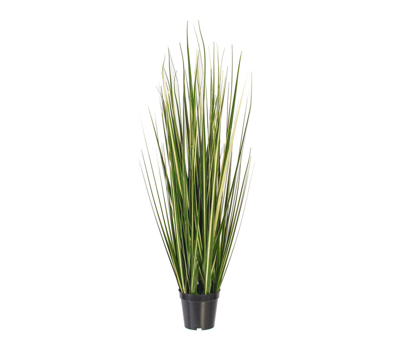 Vickerman 36" Green Evergold Grass Potted UV — Main view