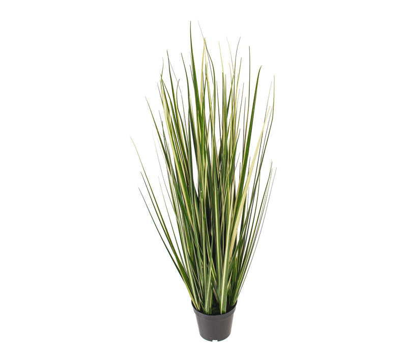 Vickerman 36" Green Evergold Grass Potted UV — View 4