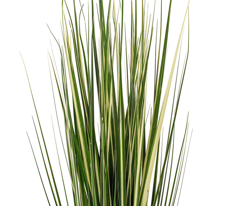 Vickerman 36" Green Evergold Grass Potted UV — View 2