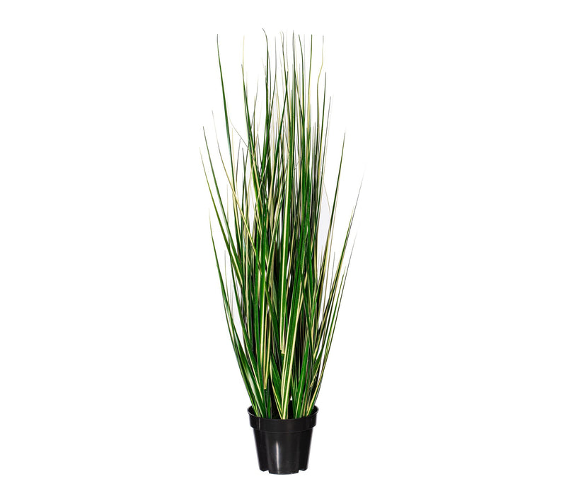 Vickerman 48" Green Evergold Grass Potted UV — View 4