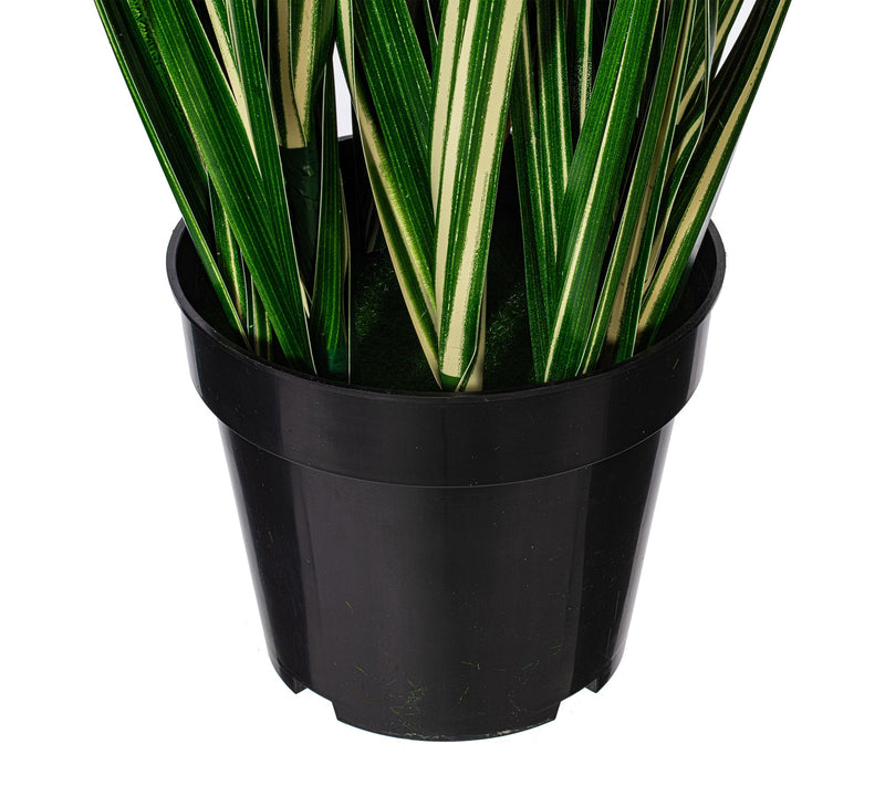 Vickerman 48" Green Evergold Grass Potted UV — View 3