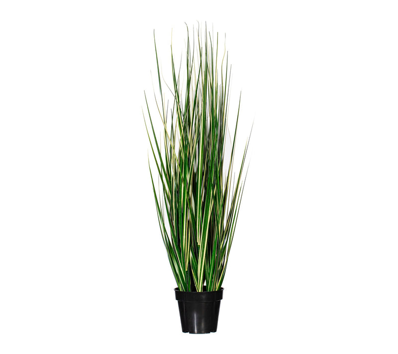 Vickerman 48" Green Evergold Grass Potted UV — Main view