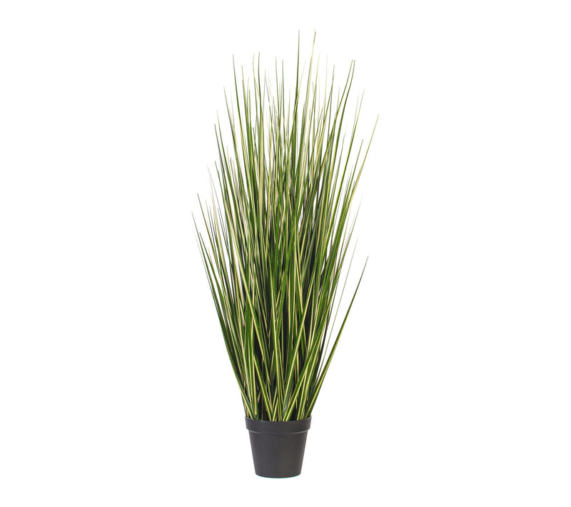 Vickerman 60" Green Evergold Grass Potted UV — Main view