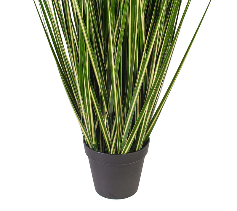 Vickerman 60" Green Evergold Grass Potted UV — View 3