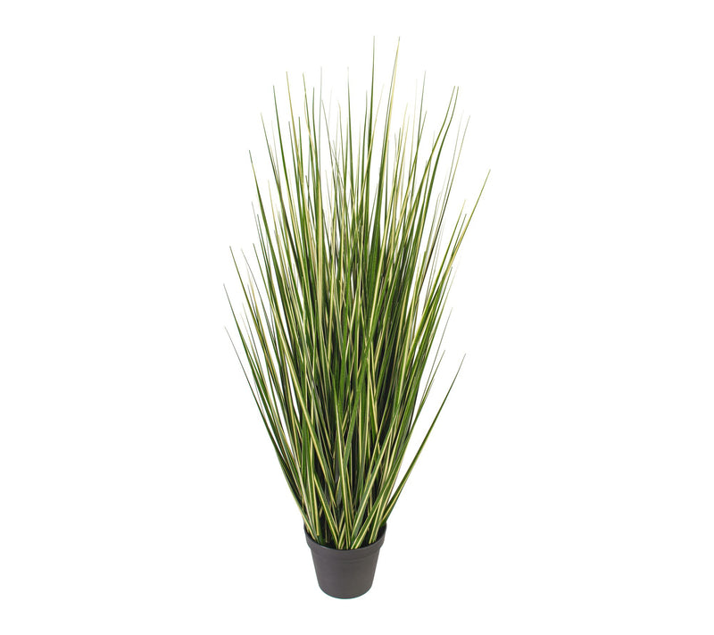 Vickerman 60" Green Evergold Grass Potted UV — View 4