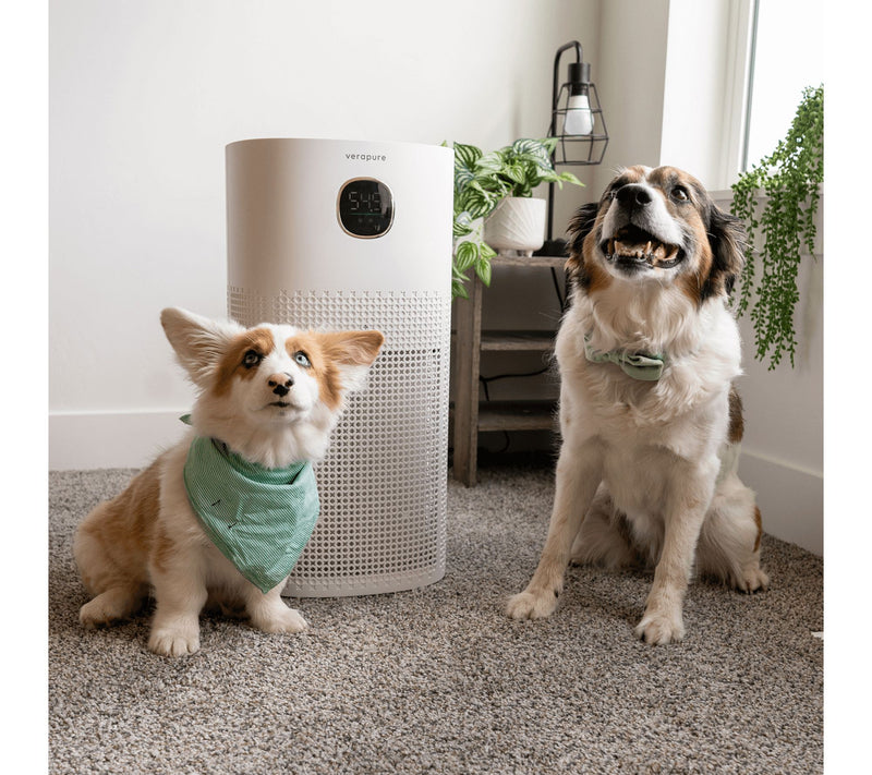 Verapure VP-300-WI Wifi Air Purifier — View 6