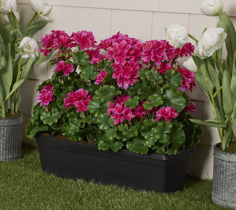 "As Is" Wicker Park 20" Oversized Indoor/Outdoor Planter Box — View 13
