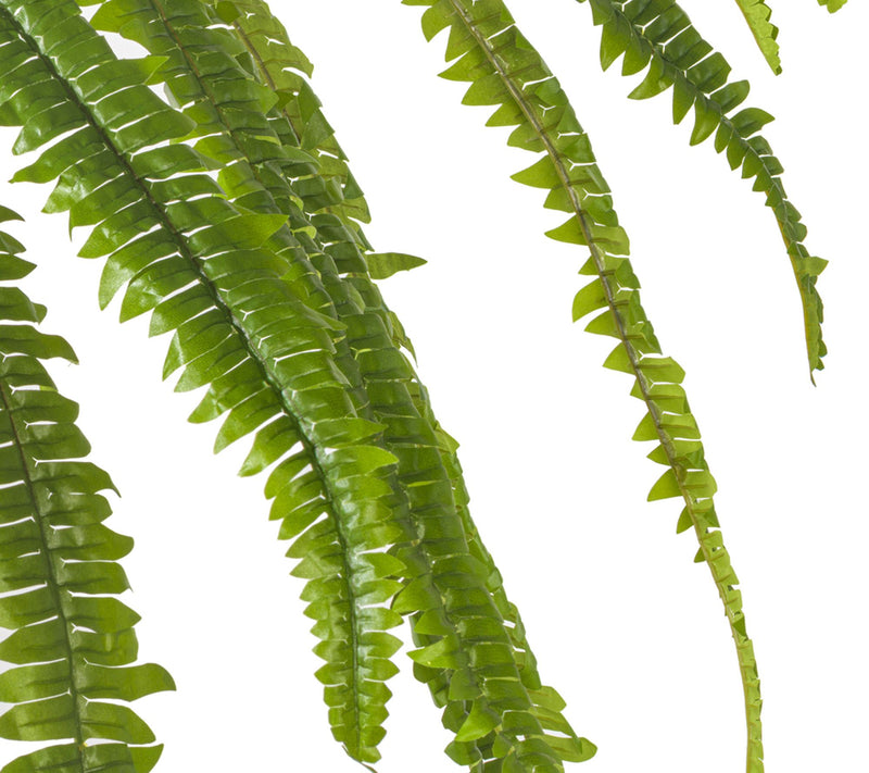 Vickerman 50" Green Boston Fern UV — View 2