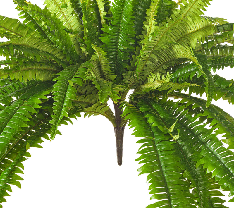 Vickerman 50" Green Boston Fern UV — View 3