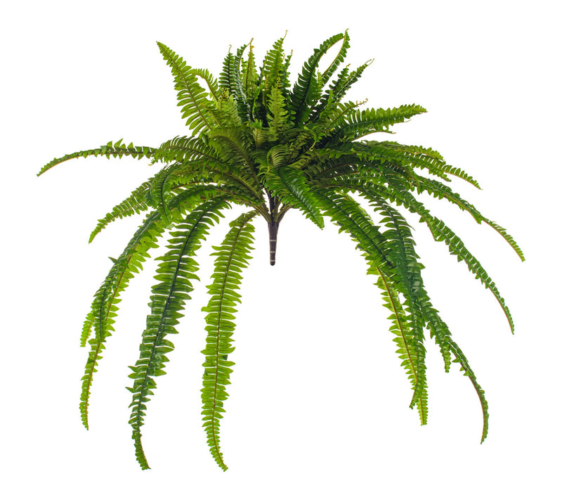 Vickerman 39" Green Boston Fern UV — Main view