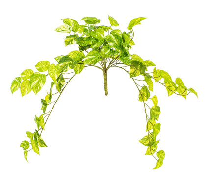 Vickerman 25" Manjula Pothos Bush UV