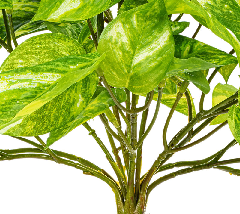 Vickerman 25" Manjula Pothos Bush UV — View 3