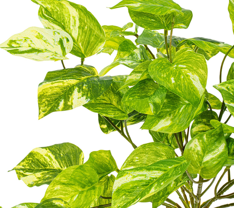 Vickerman 25" Manjula Pothos Bush UV — View 2