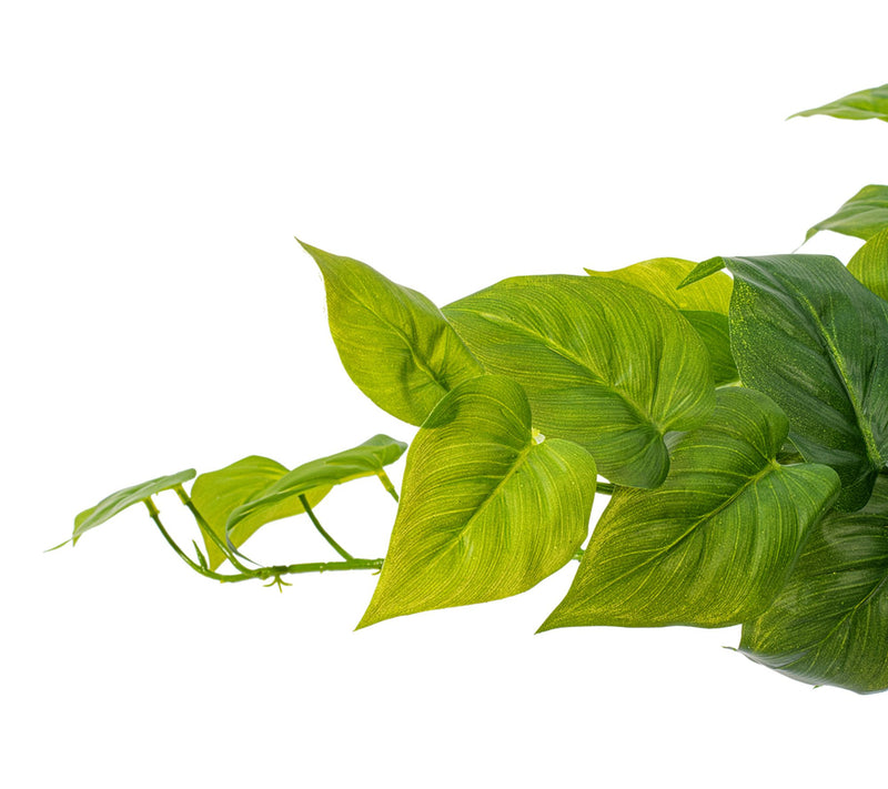 Vickerman 23" Green Pothos Bush UV — View 2