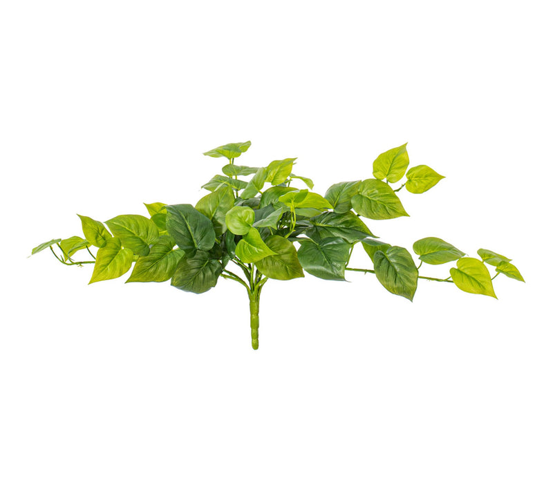 Vickerman 23" Green Pothos Bush UV — Main view