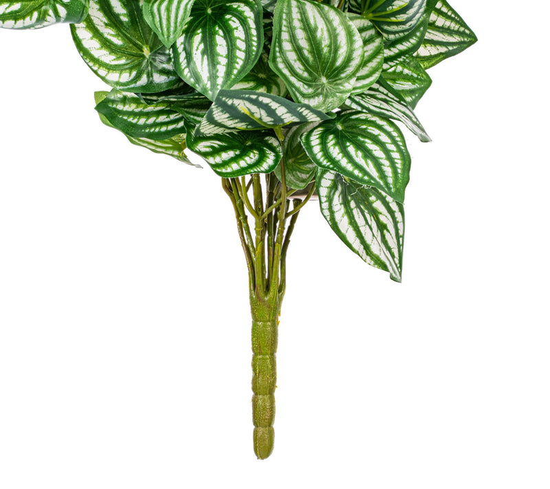Vickerman 25" Watermelon Peperomia Bush UV — View 3