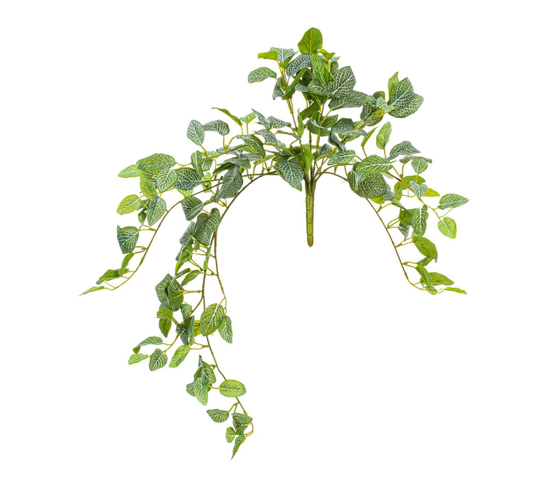 Vickerman 29" Green Fittonia Bush UV — Main view