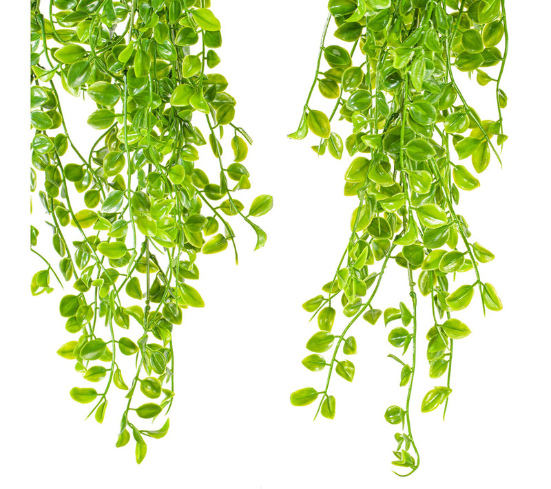 Vickerman 31" Green Mini Leaf Hanging Bush 2/pack UV — View 3