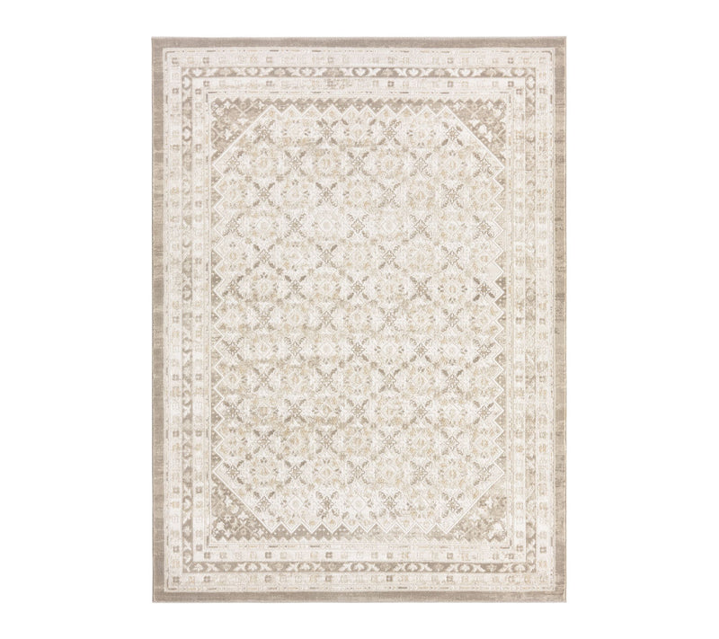 NMNY Mirella Distressed Border 6x9 Area Rug — Main view