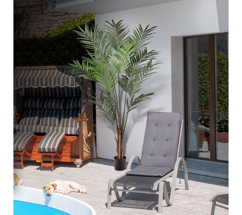 8' Kentia Palm by Valerie — View 6