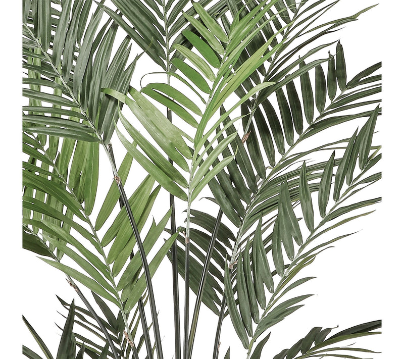 8' Kentia Palm by Valerie — View 3