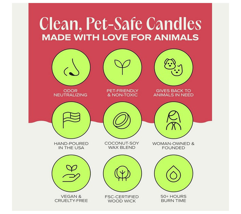 Companion Candles 9 oz Market Morning Candles — View 6