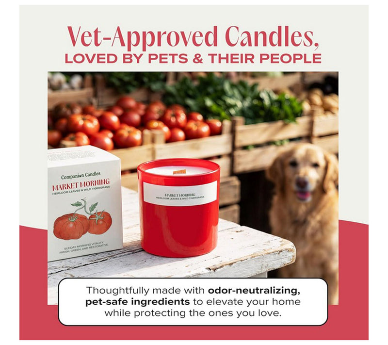 Companion Candles 9 oz Market Morning Candles — View 2