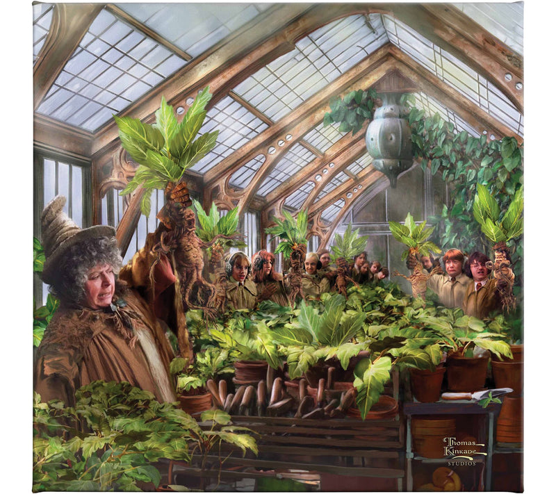 Thomas Kinkade Harry Potter Hog. Greenhouse 14x14 Gallery Wrap — Main view