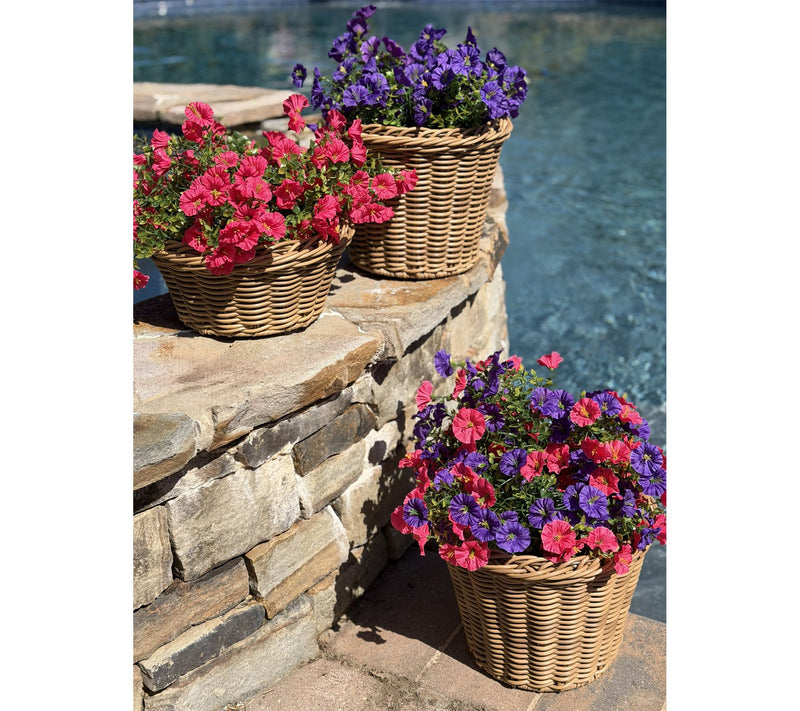 "As Is" Simply Stunning S/4 14" Morning Glory Floral Stems by Janine — View 3