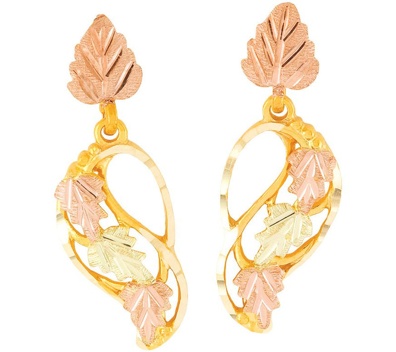 Black Hills Swirling Vine Earrings 10K/12K — Main view