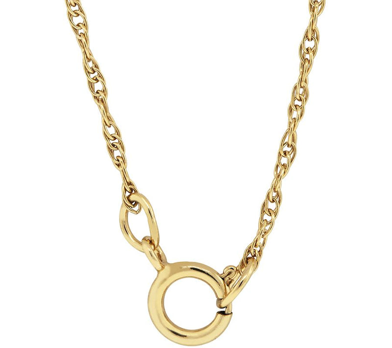 Black Hills Rosebud Cross Pendant with Chain 10 K/12K — View 2