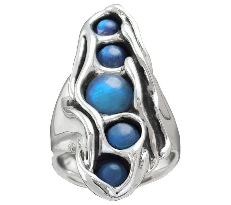Hagit Sterling Labradorite Ring — Main view