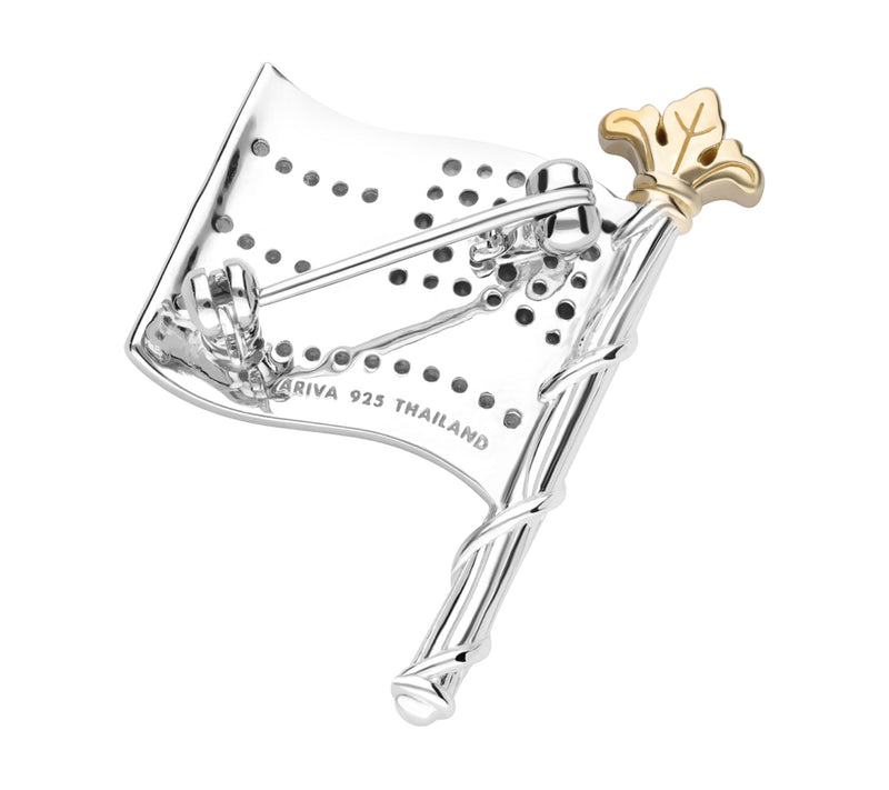 Ariva Sterling Silver Gemstone Flag Pin — View 4