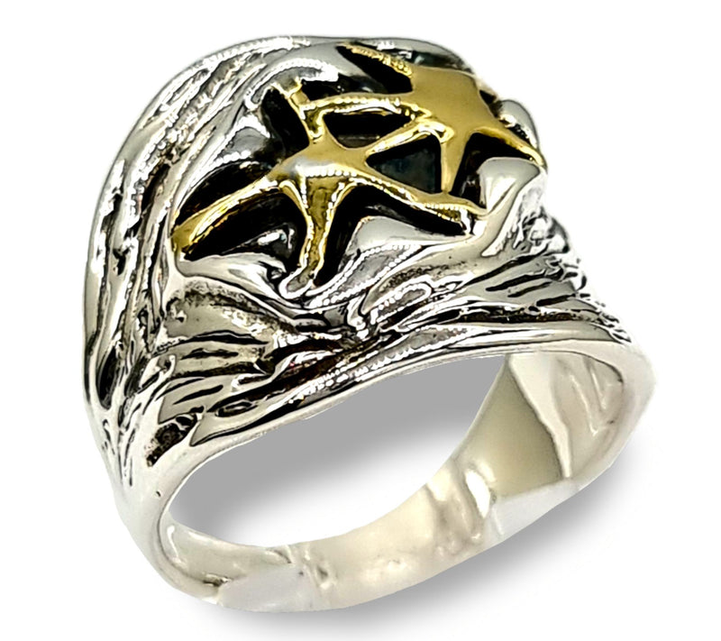 Hagit Sterling and 14K Gold Starry Night Ring — Main view