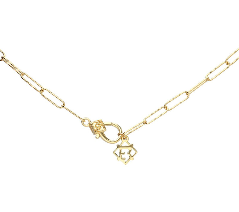 Elyse Ryan Sterling Silver Two-Tone Anklet — View 3