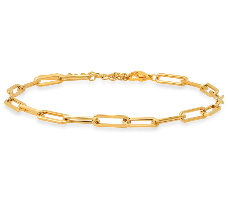 Steel by Design Paperclip Link Ankle Bracelet — View 5